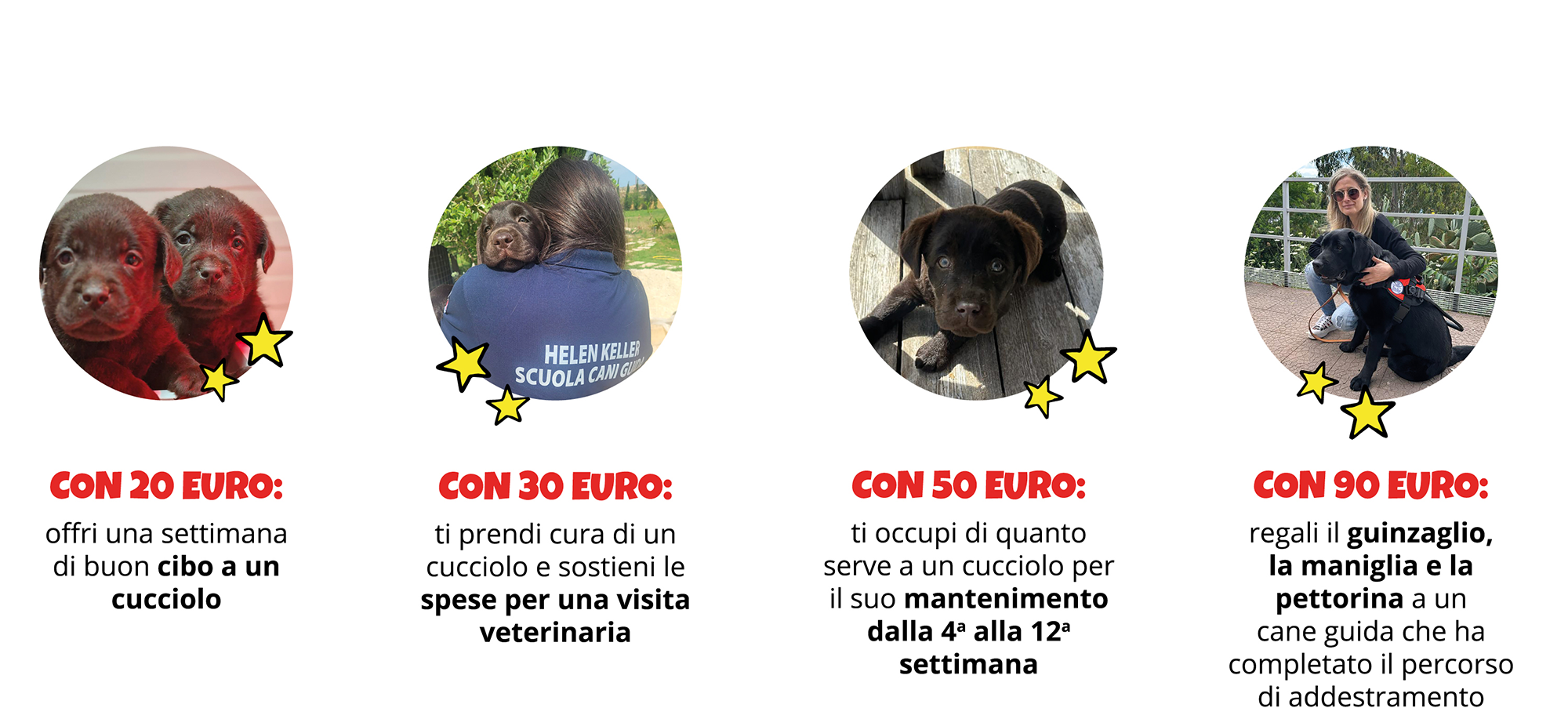 Composizione di quattro fotografie inserite in una forma tonda decorata da stelline natalizie. Da sinistra, una prima foto rappresenta il muso di due cuccioli di labrador marroni molto teneri. La seconda raffigura una ragazza di spalle che tiene in braccio un cucciolo di labrador marrone. In primo piano il muso del cucciolone appoggiato sulla spalla della ragazza che indossa la divisa da addestratrice, sulla sua schiena si legge la scritta Helen Keller Scuola Cani Guida. Nella terza un cucciolone di labrador marrone sdraiato su un pavimento di legno che guarda l’obiettivo. Nella quarta una giovane istruttrice chinata a terra che abbraccia un labrador nero.