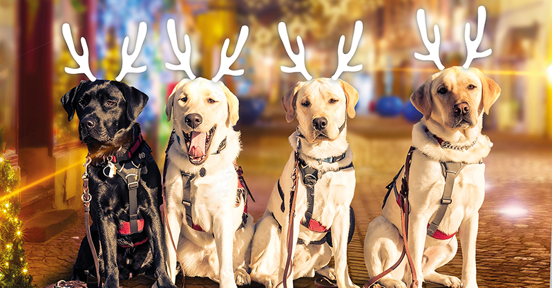 Primo piano di quattro cani guida di razza labrador, il primo a sinistra nero e gli altri tre chiari. Sulle teste di ogni cane ci sono orecchie da alce luminose.