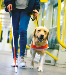 La fotografia mostra, all’interno di un vagone della metropolitana, le gambe di un giovane con bastone bianco e un cane guida che percorrono insieme il vagone. 